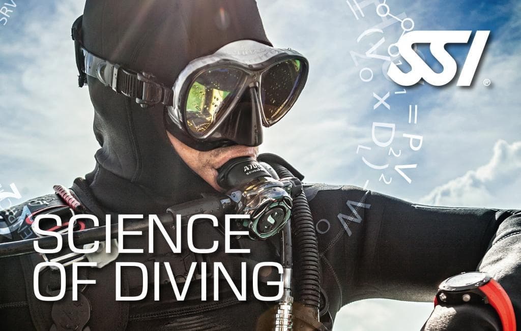 Water Activities & Dive with SSI Science of Diving in Marine Environments