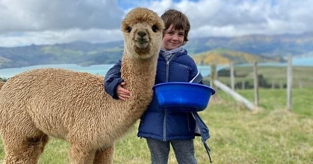 Wildlife & Nature Adventure at Akaroa Wildlife Passes