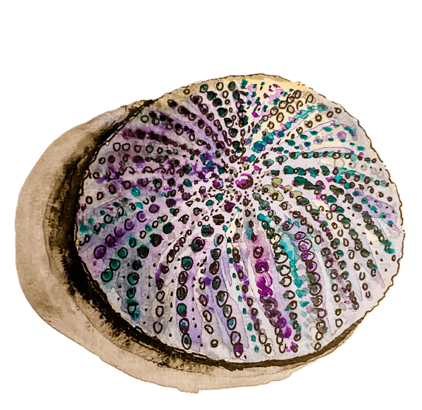 Seaside Watercolor Workshop at The Kotoda — Paint Shells, Starfish & Driftwood in Carrington photo 1