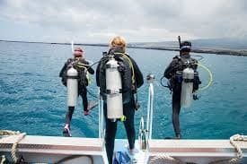 Water Activities: Kona Shore Divers' Ocean Adventures in Kailua-Kona