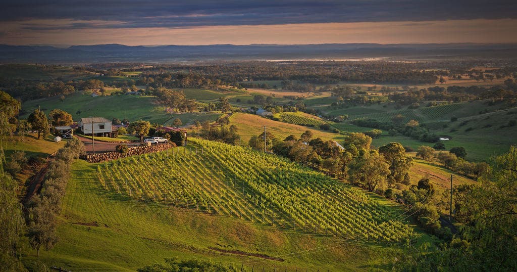 Soar Over Pokolbin: A 12-Minute Scenic Helicopter Flight Adventure