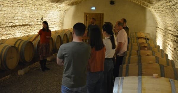 Sancerre Wine Tasting & Farm Tour in Thauvenay