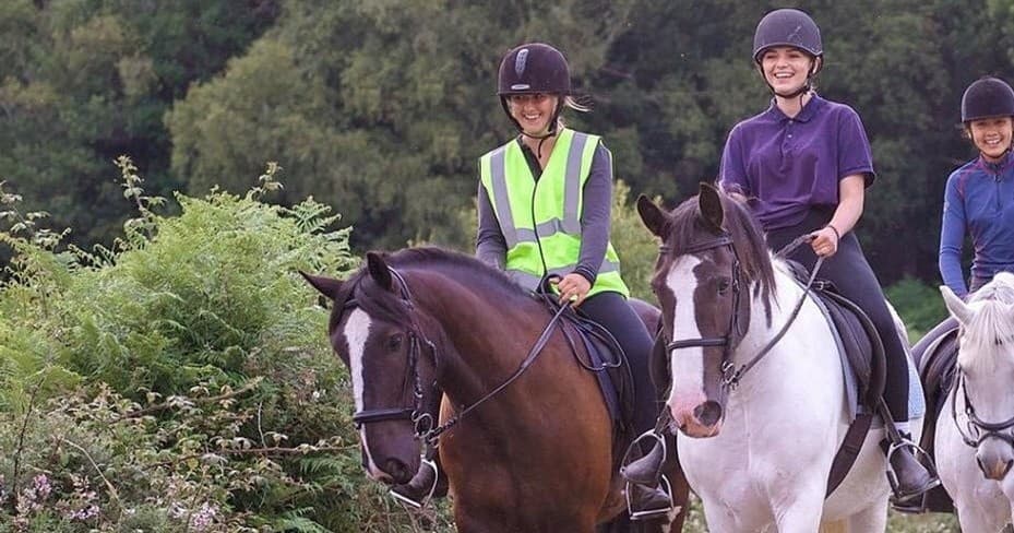 New Forest Horseback Picnic Trek with Coombe Stables