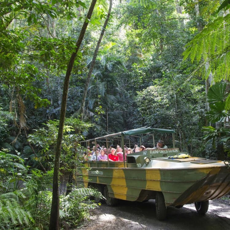 Kuranda Classic: Scenic Railway, Rainforest Wildlife & Skyrail Day Tour from Cairns photo 1