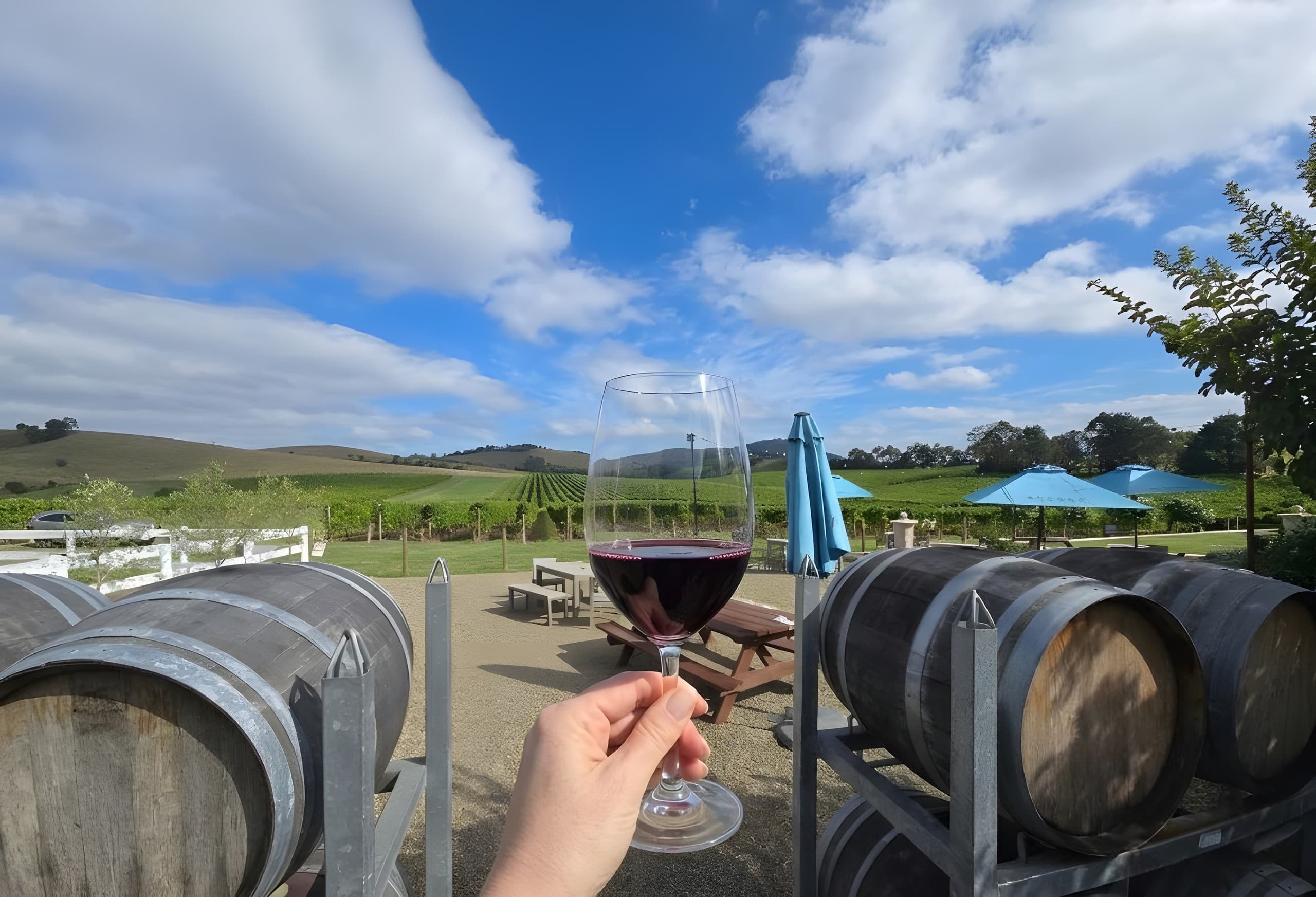 Sip and Soil: A Premium Yarra Valley Wine Tasting Day Trip from Melbourne