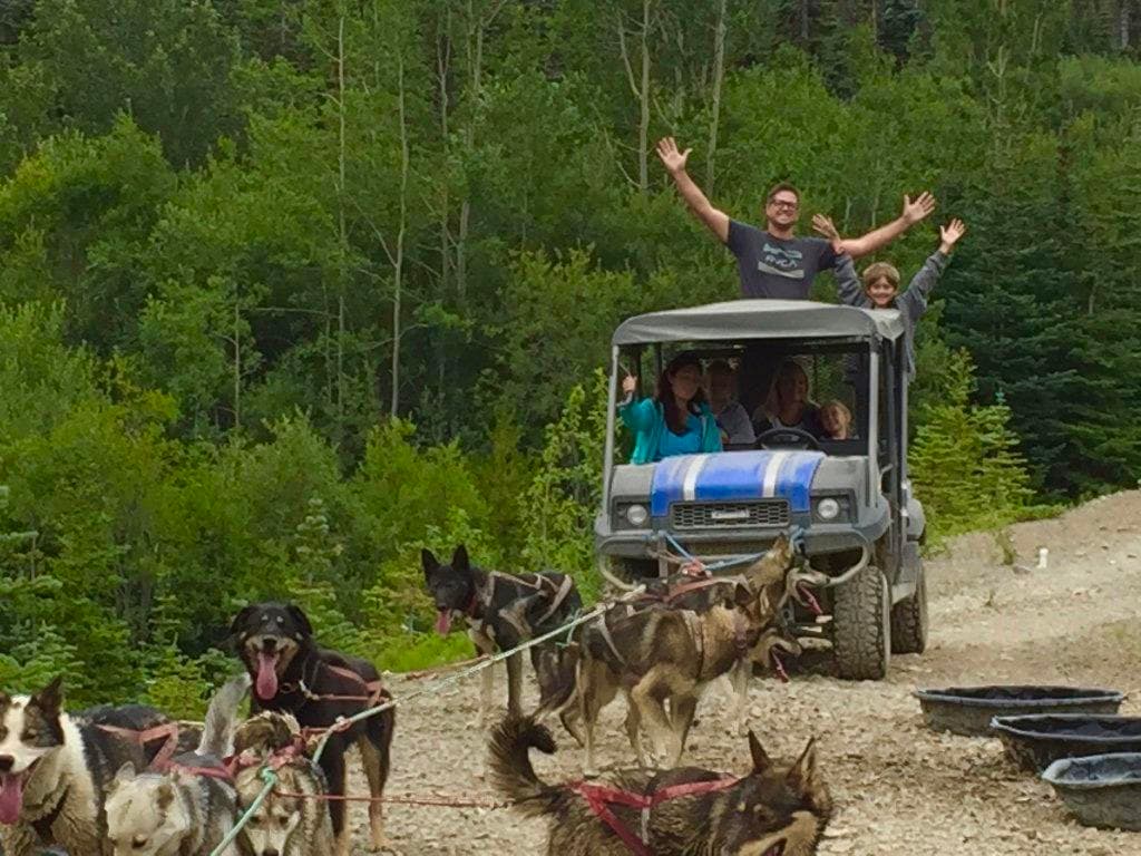 Dog Sledding Adventure at Emerald Lake & Tushi Camp in Alaska