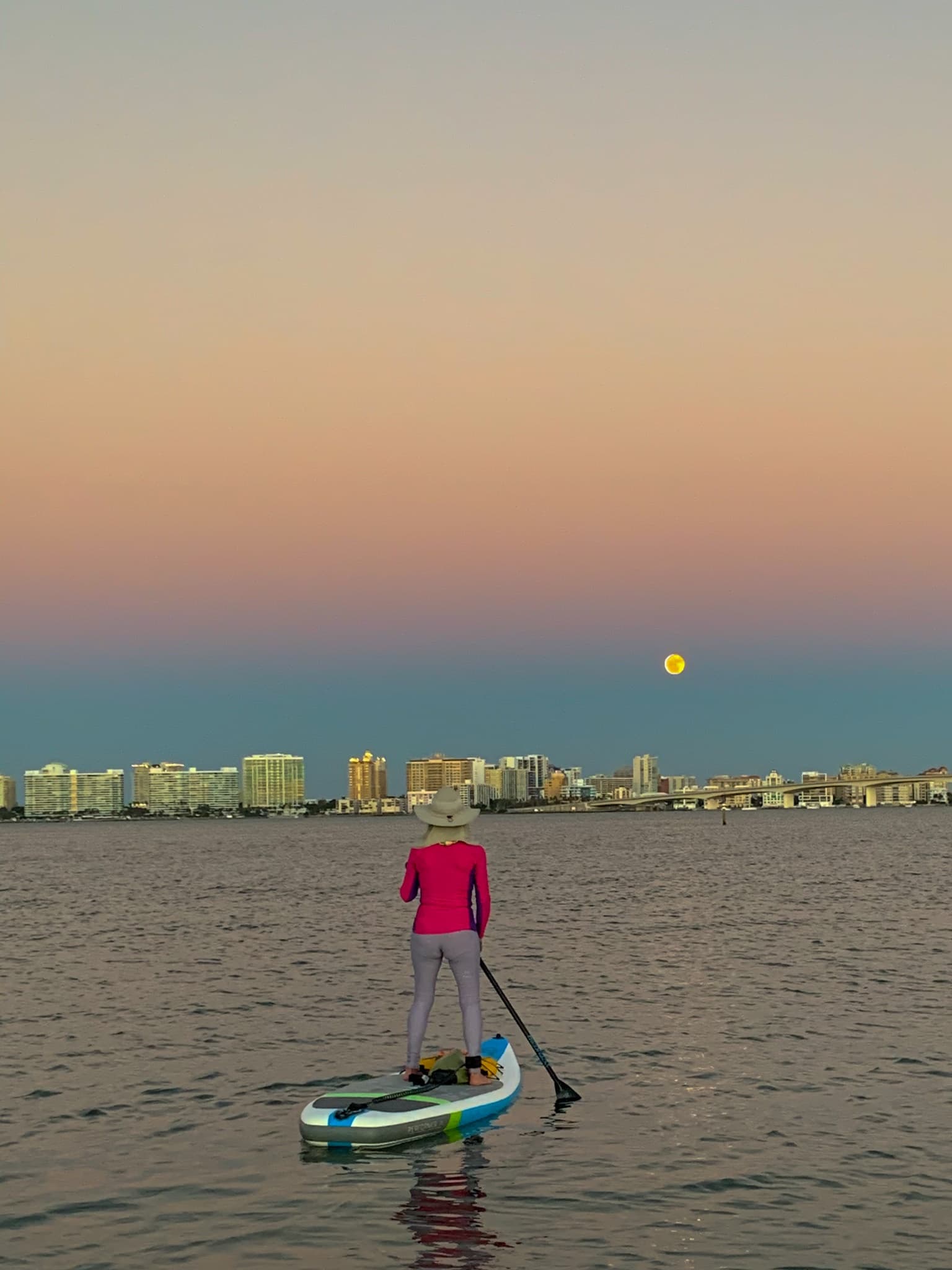 Kayaking Wildlife Tours in Sarasota Bay