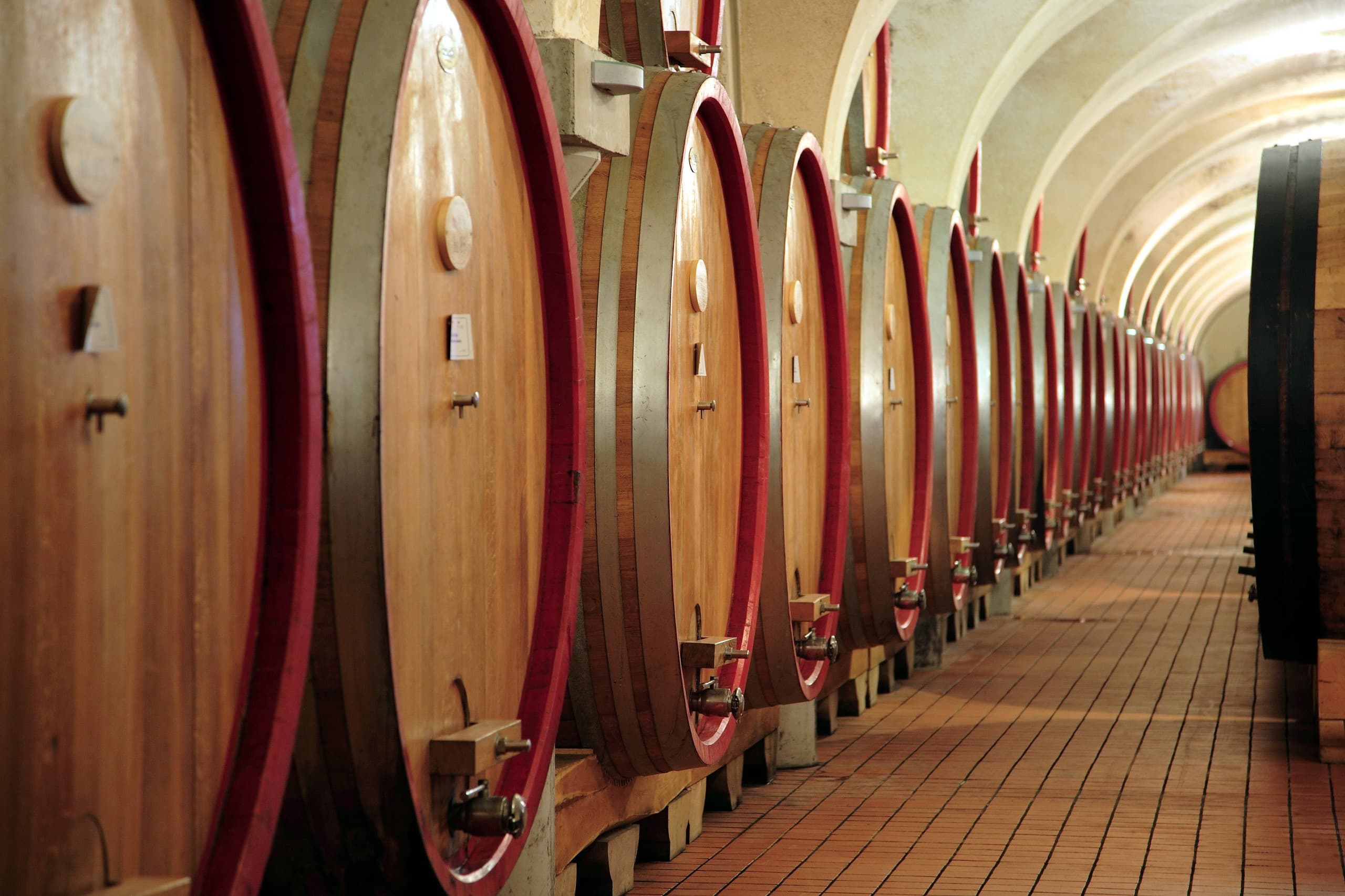 Montepulciano Cellar Tour & Nobile di Montepulciano DOCG Tasting photo 2