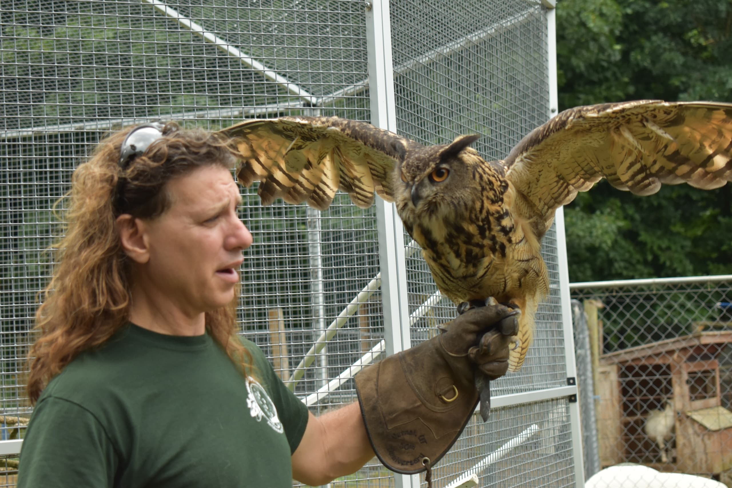 Owl Handling Class at Animal Adventures in Bolton