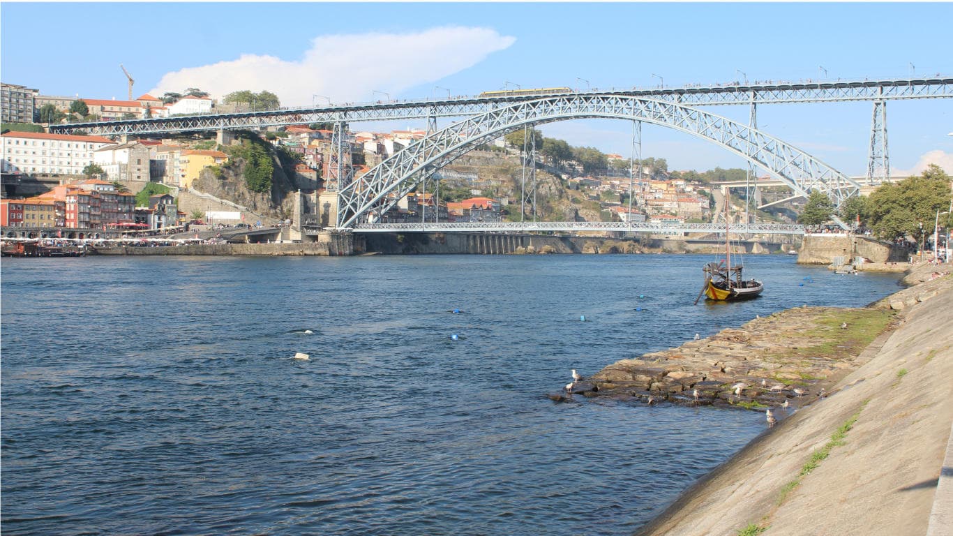 Porto Highlights Walking Tour by Overtime Tours