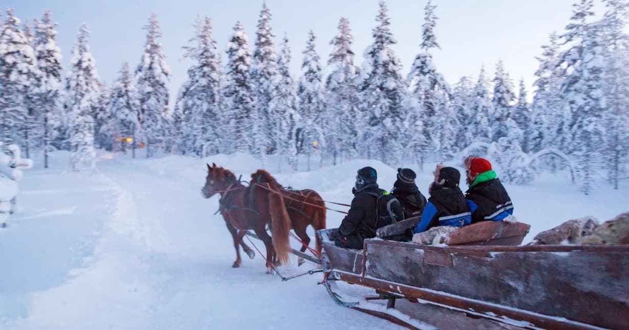 Winter Wildlife & Aurora Tour with Kakslauttanen