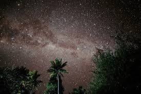 Caribbean Night Sky: One-Hour Stargazing Tour in Vieques, Puerto Rico photo 2