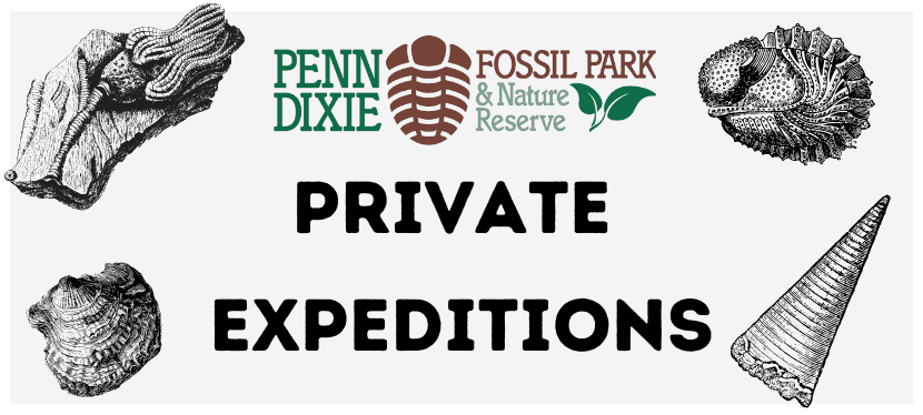 Private fossil expeditions and hands-on rock collecting