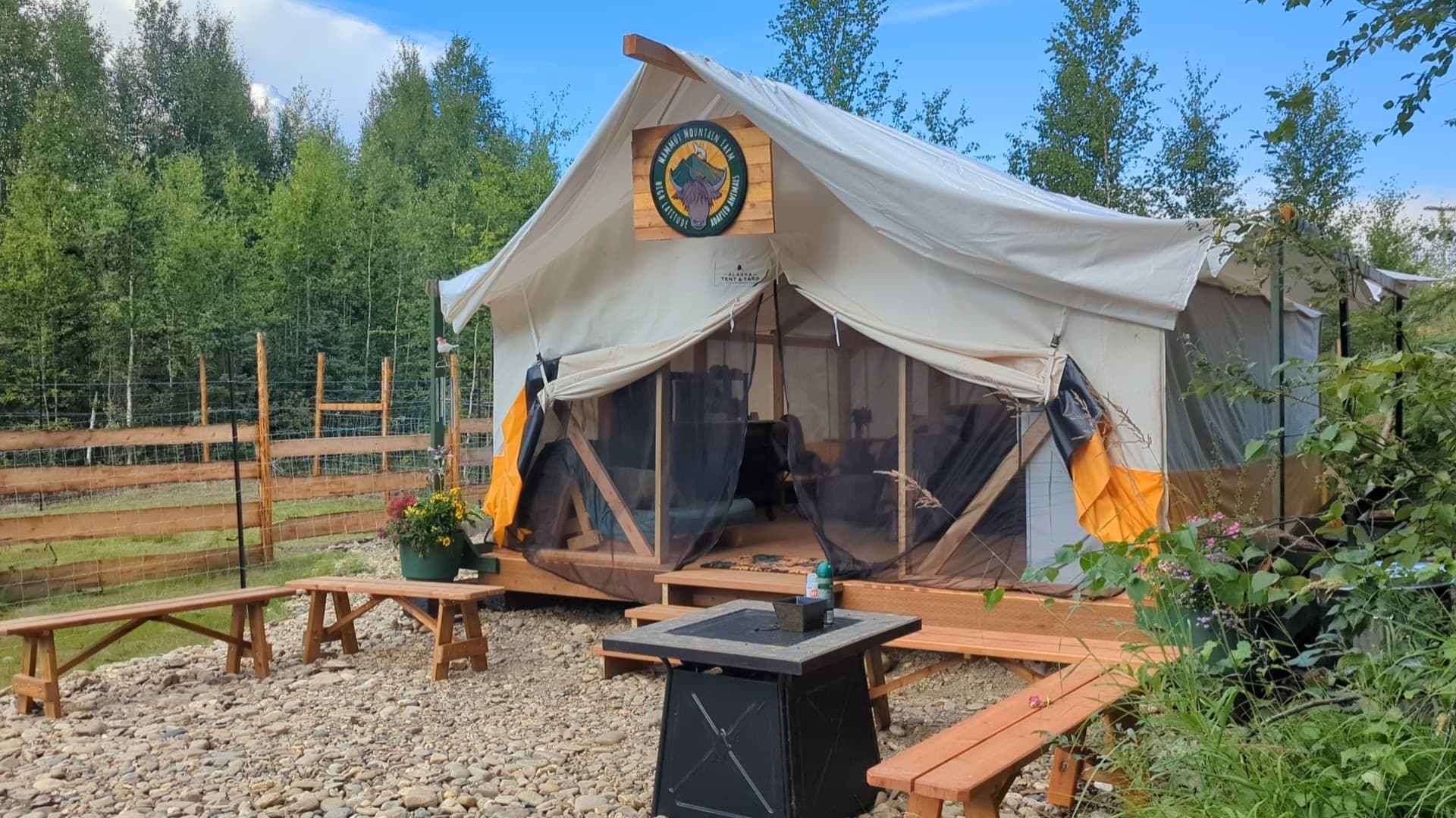 Wildlife & Nature: Midnight Sun Yak Tour at Mammut Mountain Farm