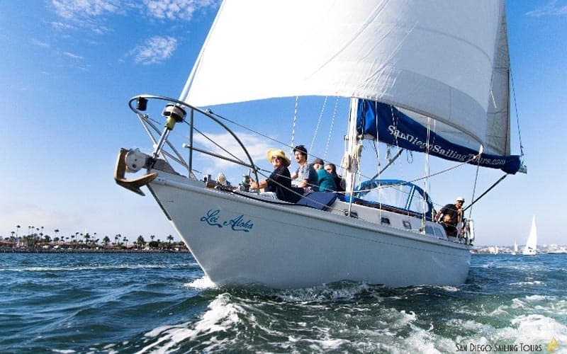 Wildlife Tour with San Diego Sailing Tours in California