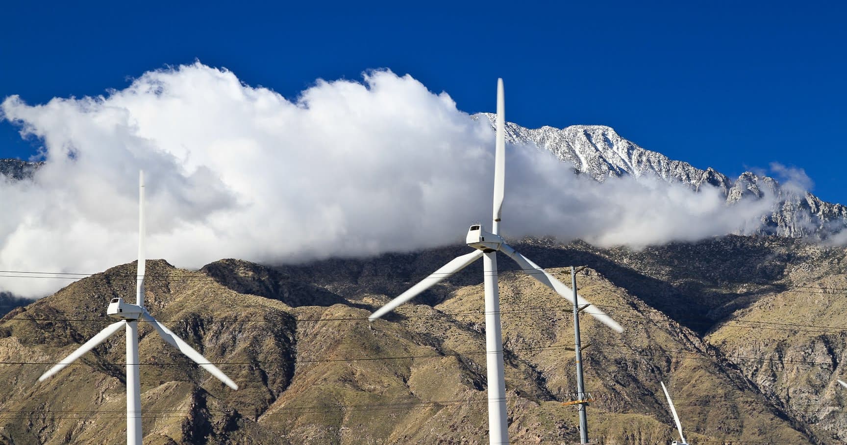 Palm Springs Windmill Tours team