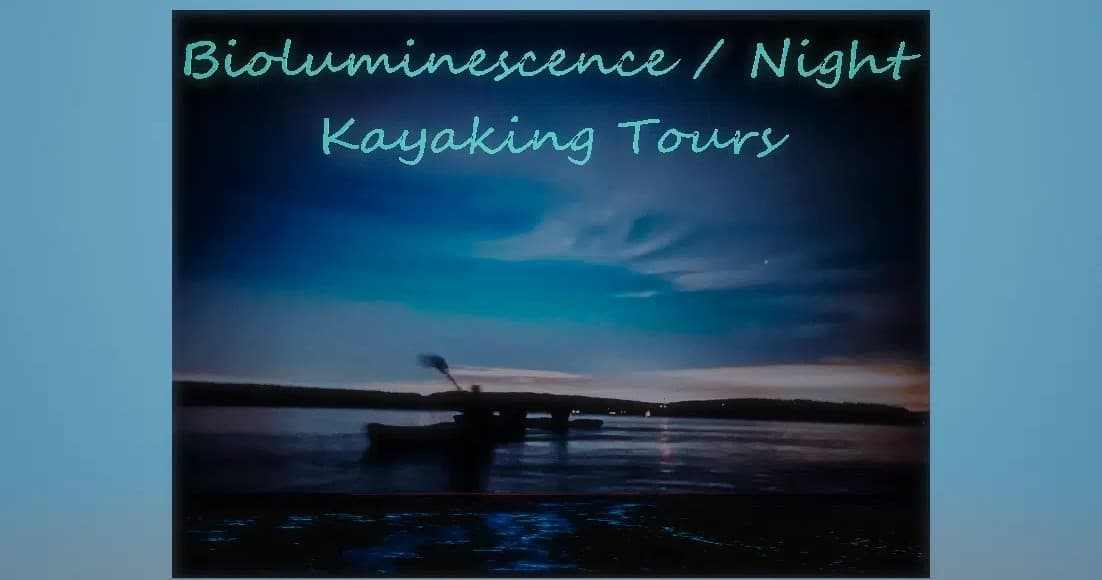 Night Kayak with Bioluminescence at Hood Canal Adventures