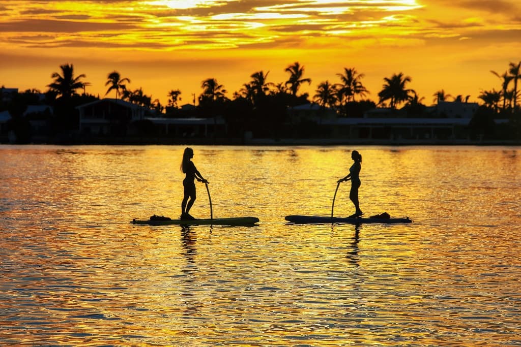 Sunset stand-up paddleboarding in tropical lagoon with palms