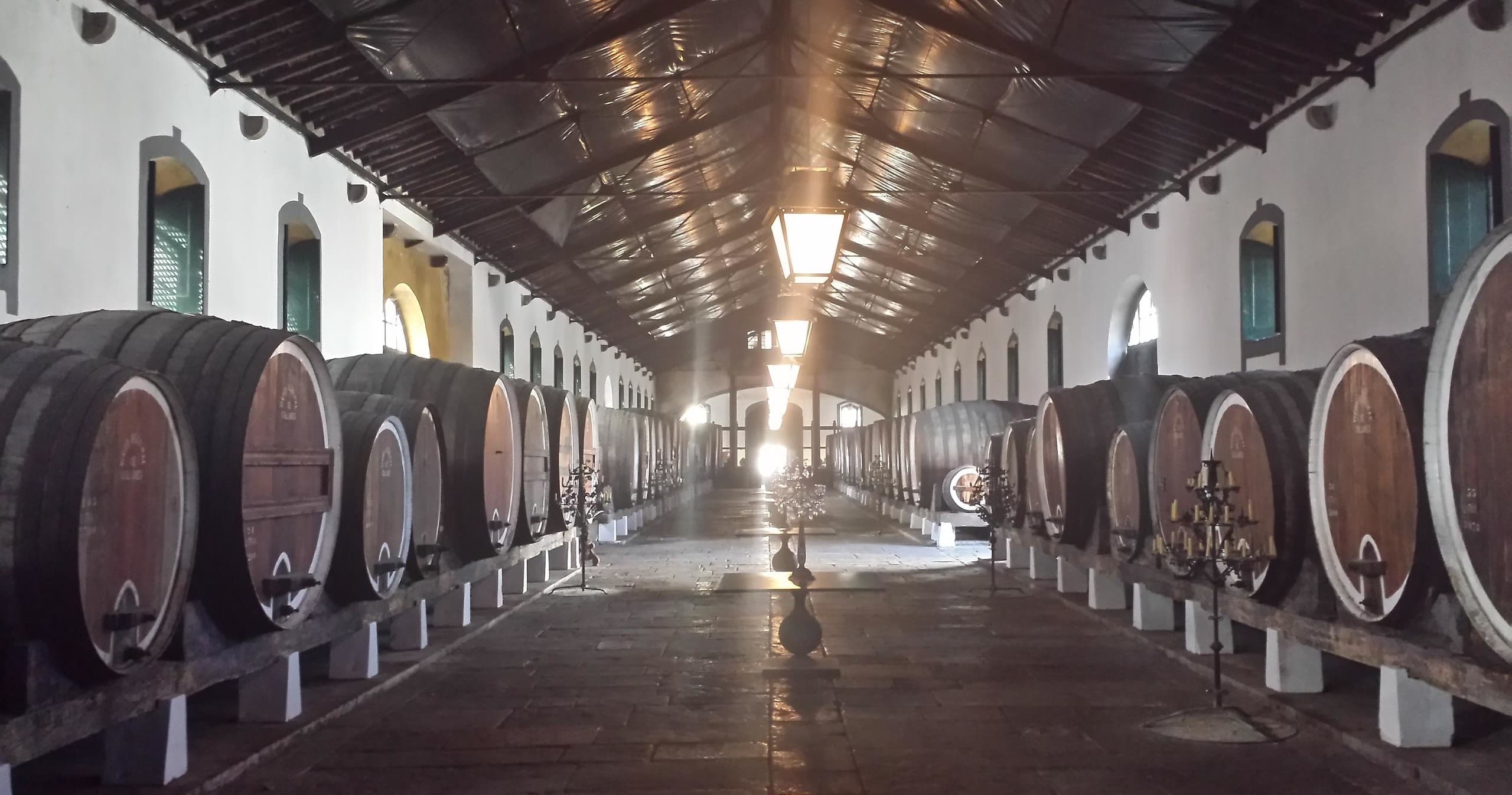 Wine & Landmarks in Sintra with Lisbon on Wheels