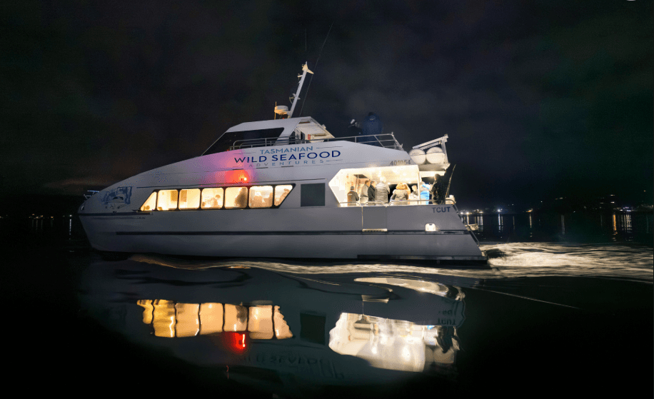 Night Ocean Cruise with Marine Life in Hobart
