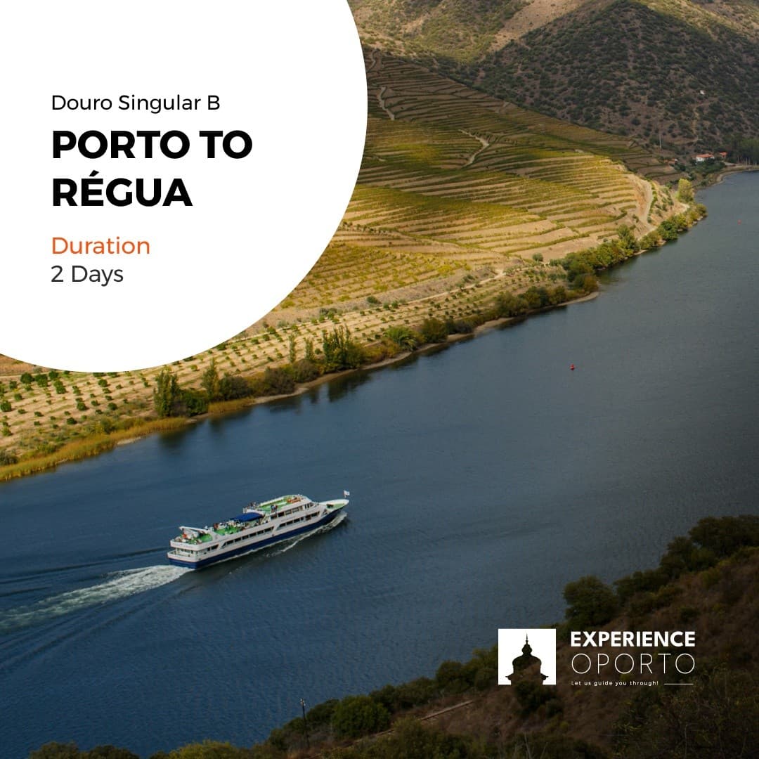 Two-Day Douro Cruise: Porto to Régua Through Locks, Bridges, and Vineyards photo 1
