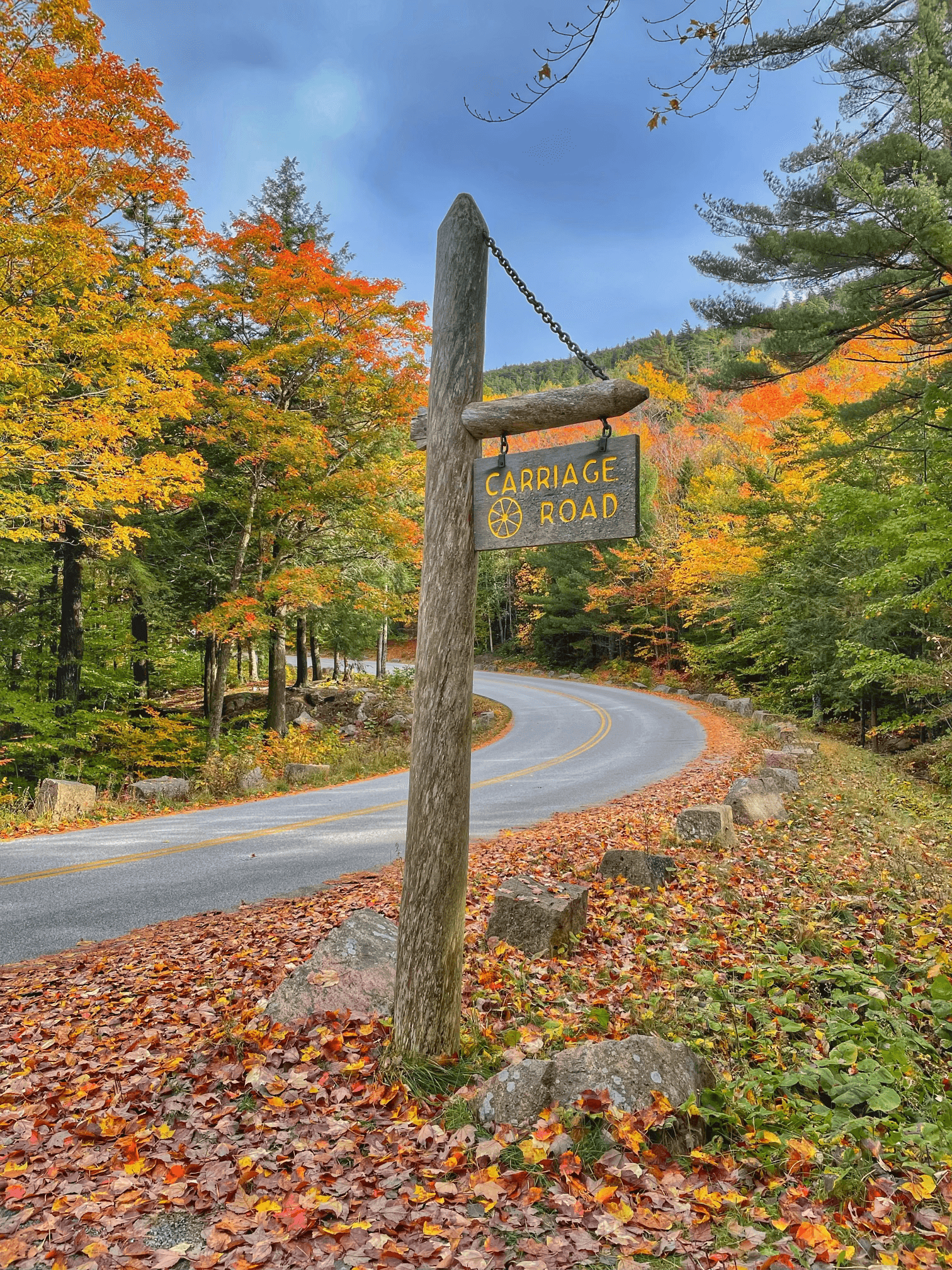 Land Adventures with Acadia Outdoor Center in Acadia
