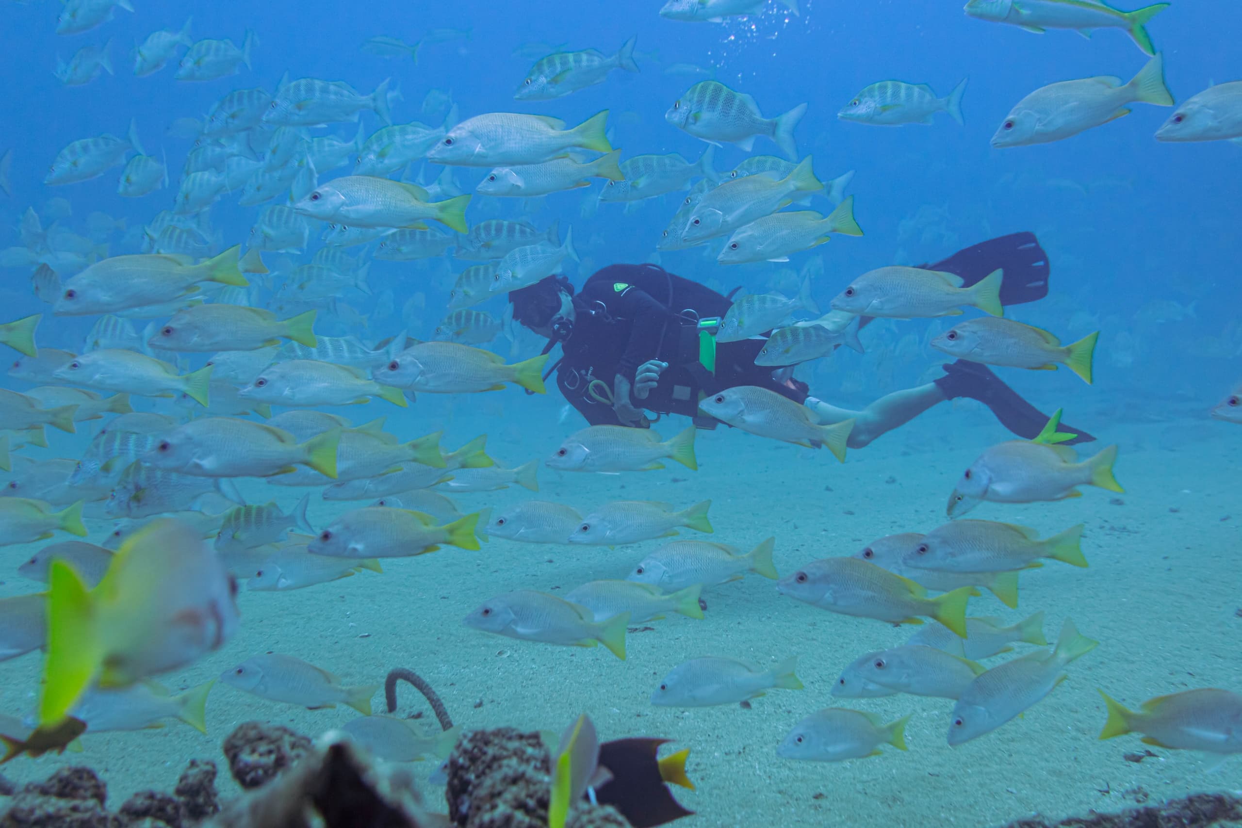 Nautilus Dive Tech team