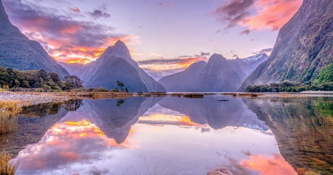 Fly Cruise Fly Adventure with Mitre Peak Cruises