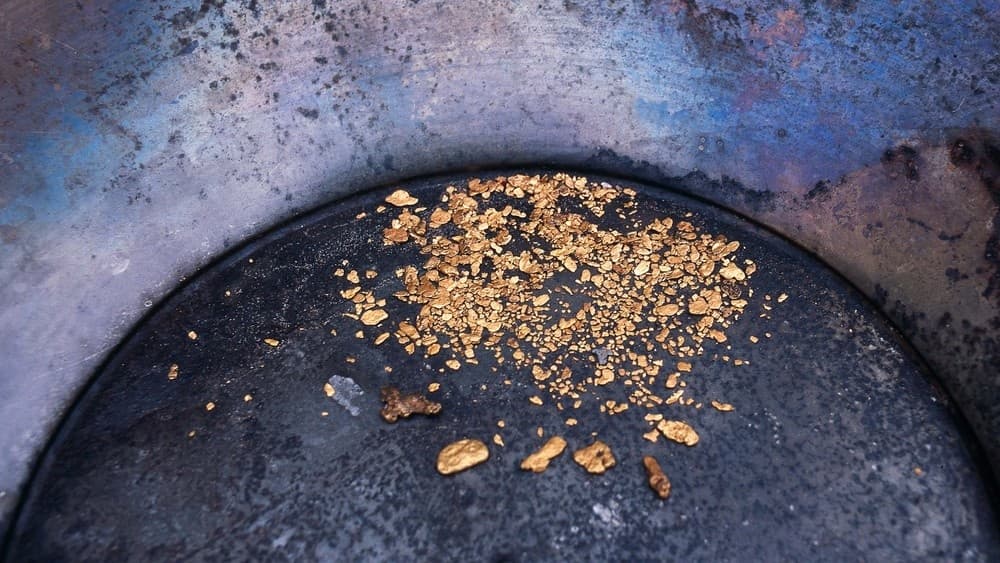 Gold Panning Adventure with Star Arctic Hotel in Saariselkä