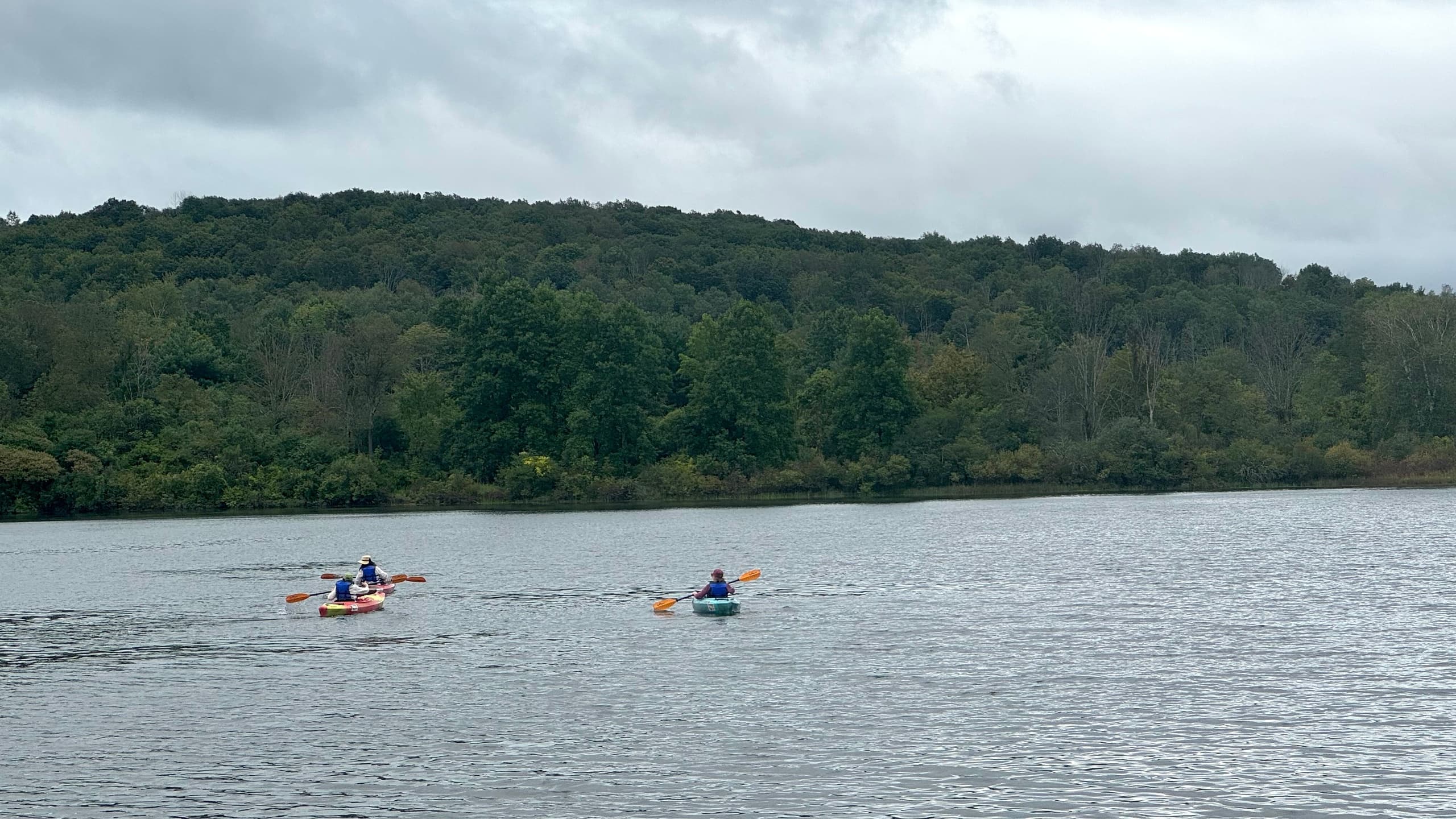 Lackawanna State Park Boat Rentals: Paddle & Relax with Susquehanna Kayak