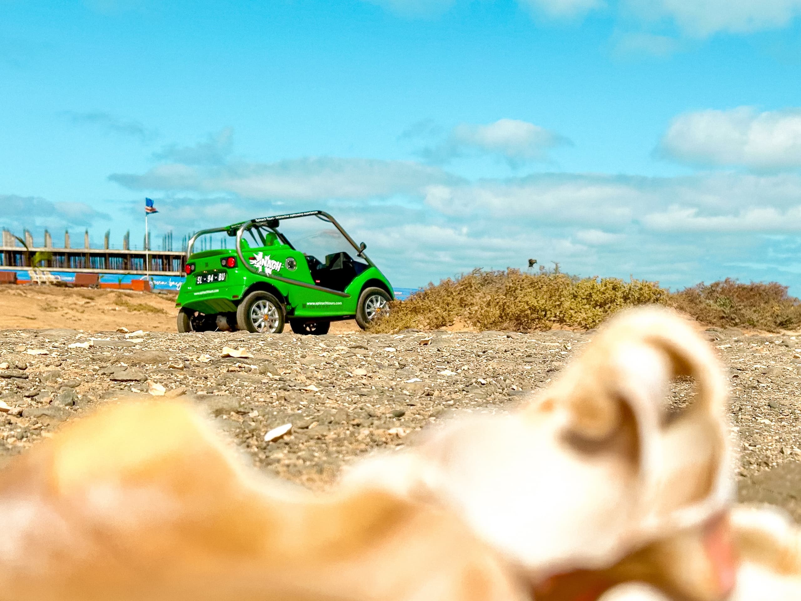 Green Spinach Tours buggy parked overlooking coastal dunes and sea