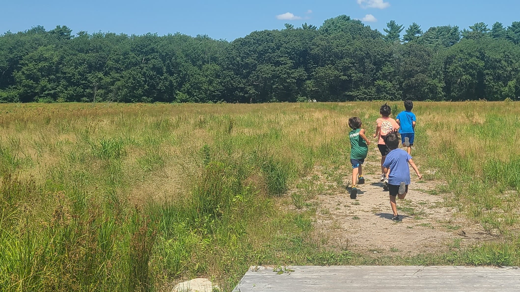Run Wild at The Bogs with Buzzards Bay Coalition