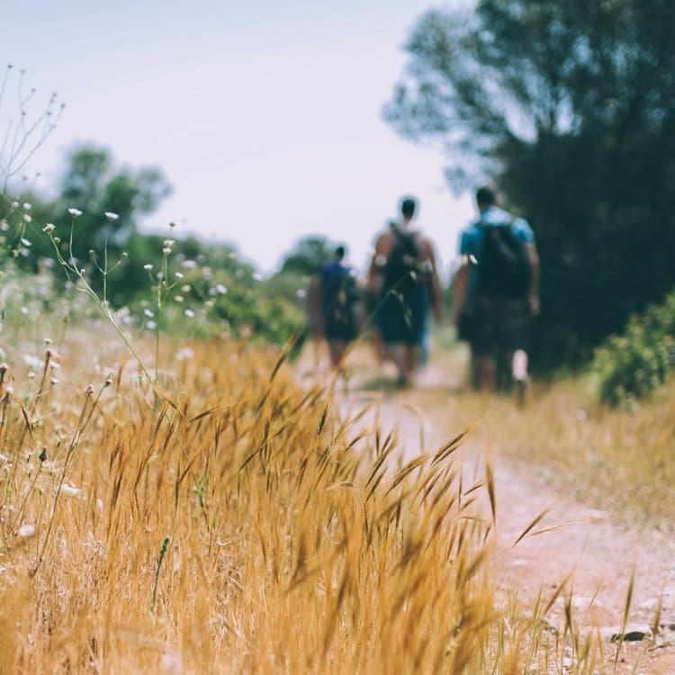 Explore Boone’s Scenic Trails on a 2-Hour Guided Hiking Tour