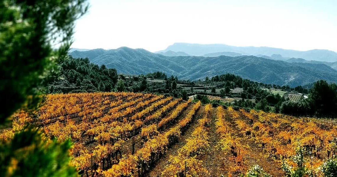 Private Priorat Wine Tour with Spanish Trails