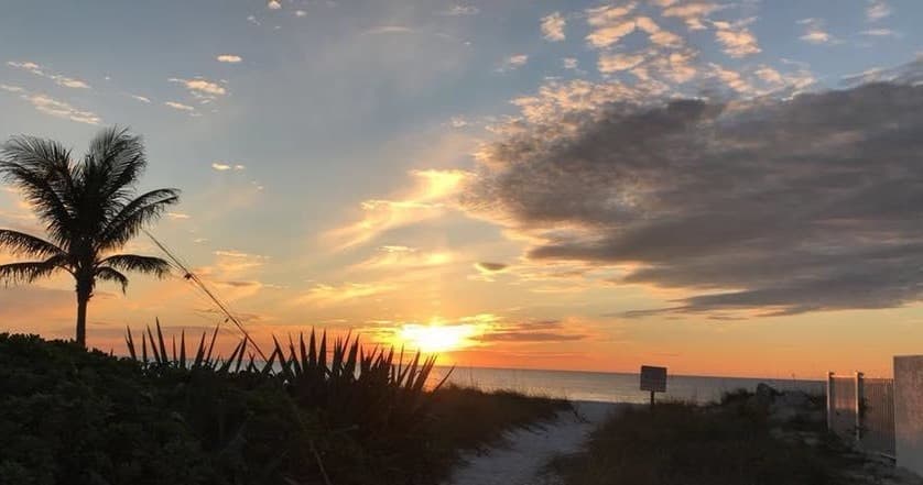 Sunset over tropical beach with palm trees, scenic coastal vista