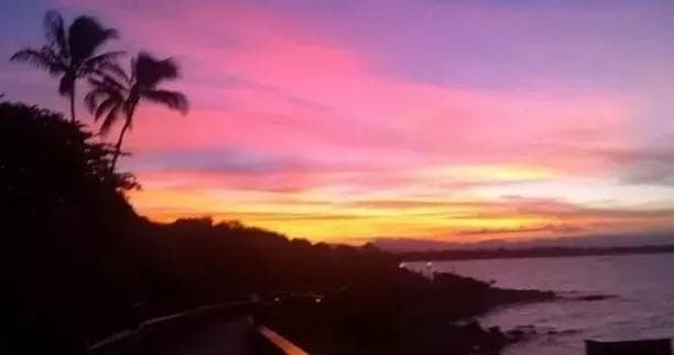Casual Fare Sailing Charters Townsville team