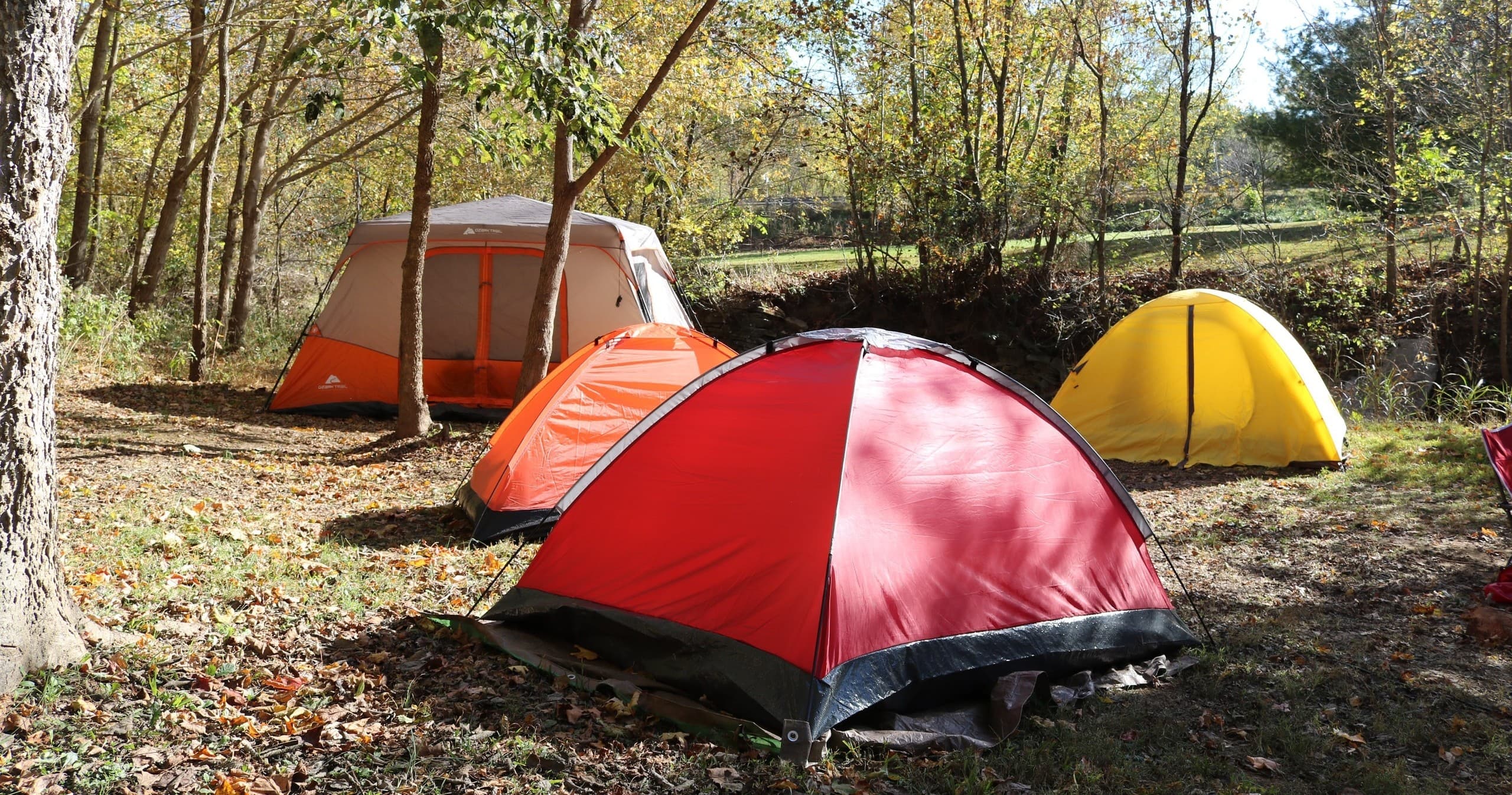 Wildlife & Nature Camping at Marengo Cave
