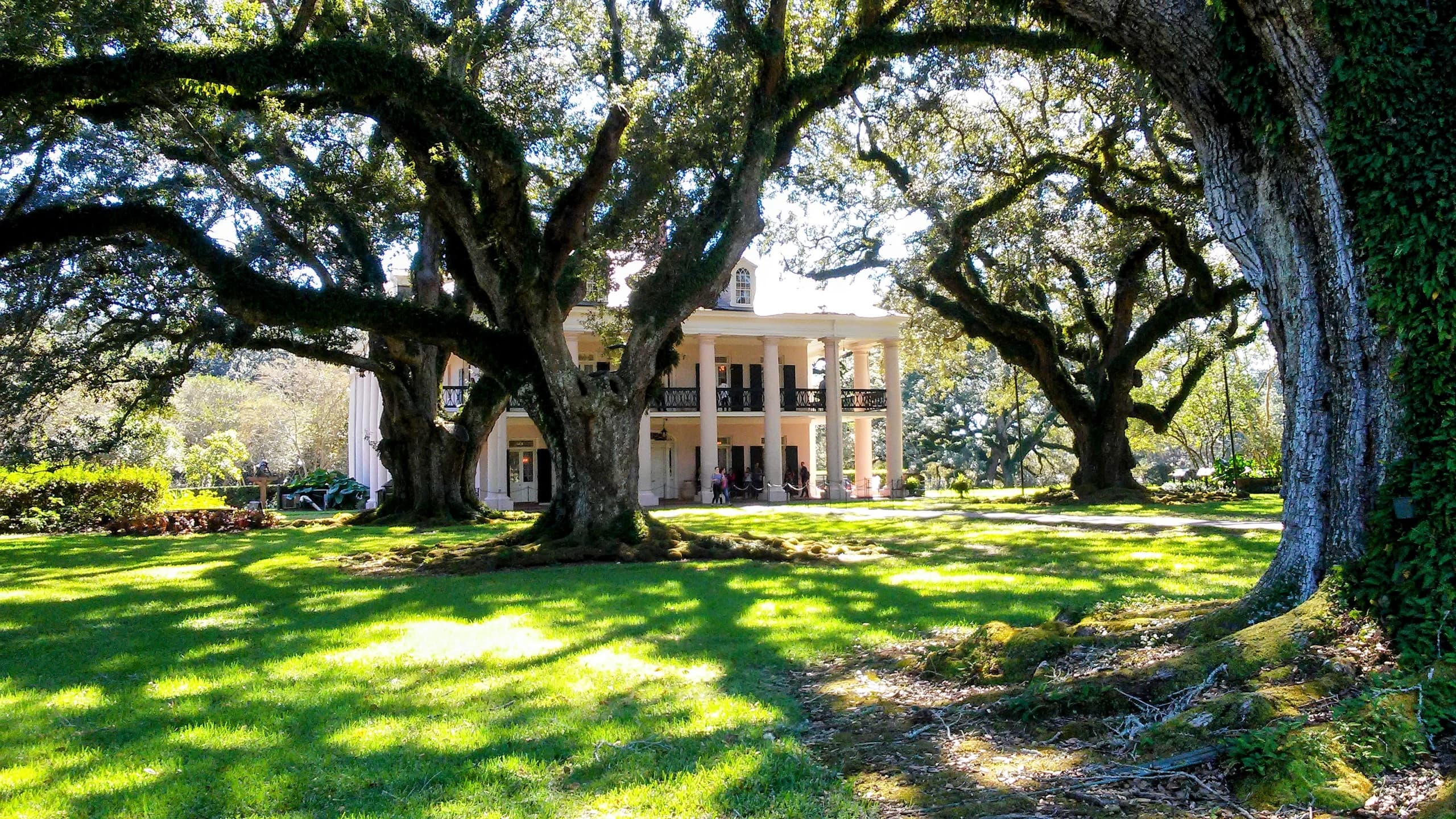 Historic Plantation Tours & Southern Cuisine Near New Orleans