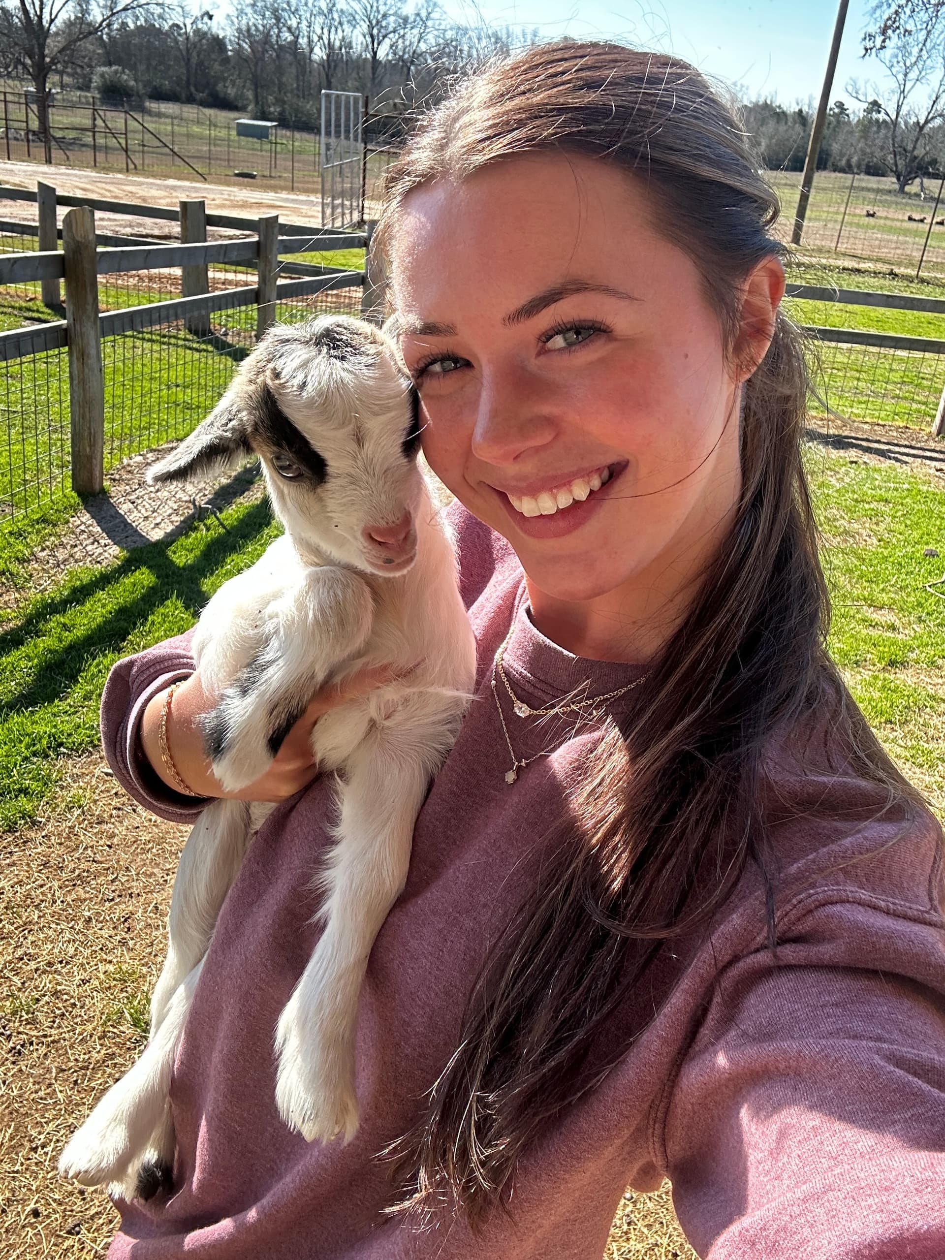 Baby Goat Snuggles at Busy B Ranch: 15-Minute Encounter in Jefferson, TX