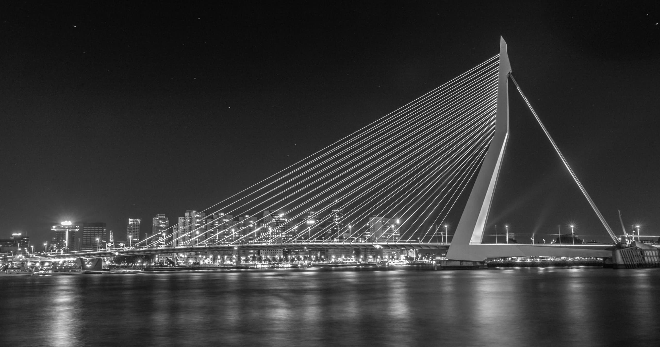 Nighttime view of Erasmus Bridge over Nieuwe Maas in Rotterdam
