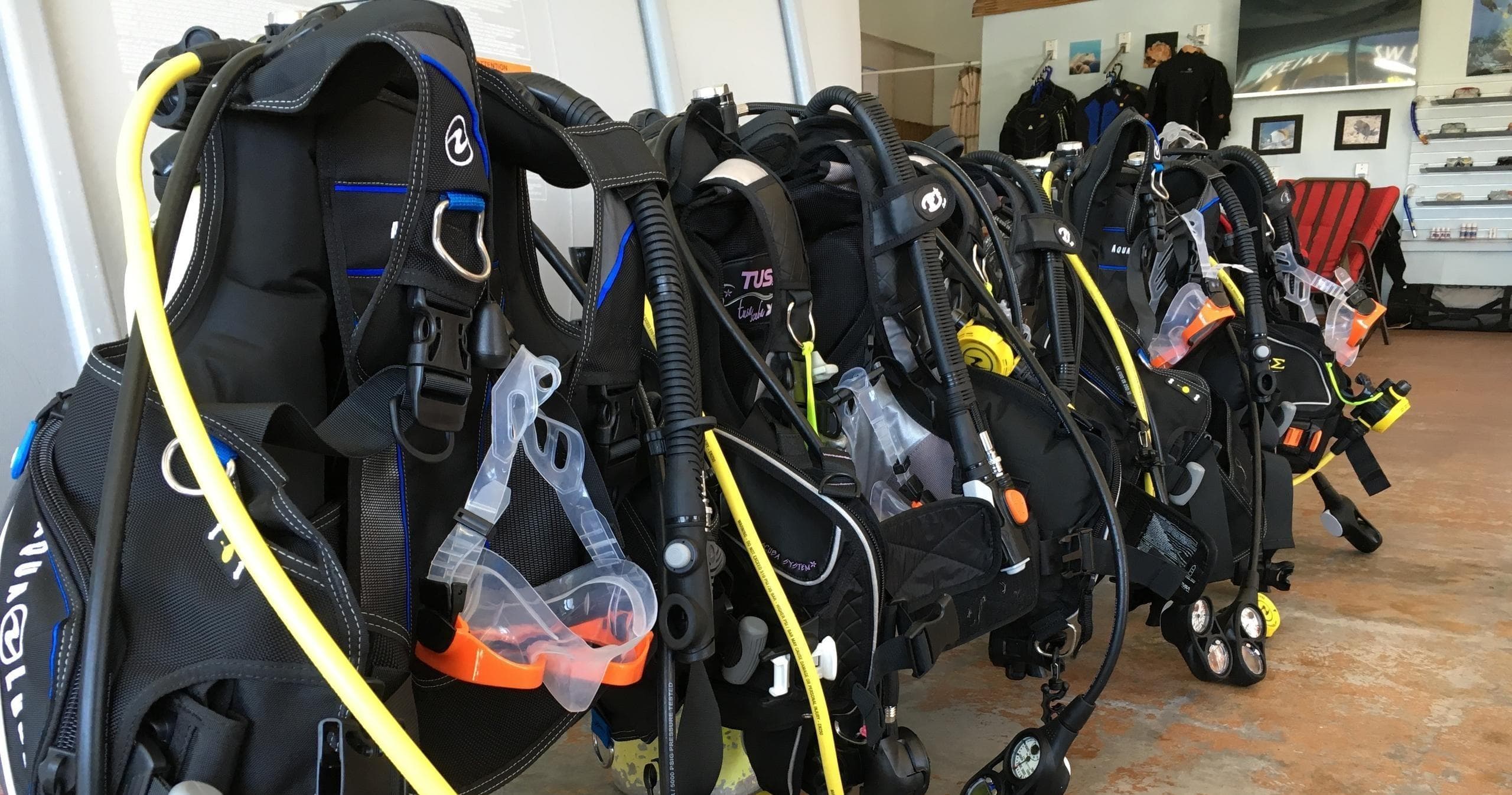 Water Activities at Hilo Ocean Adventures in Hawaii