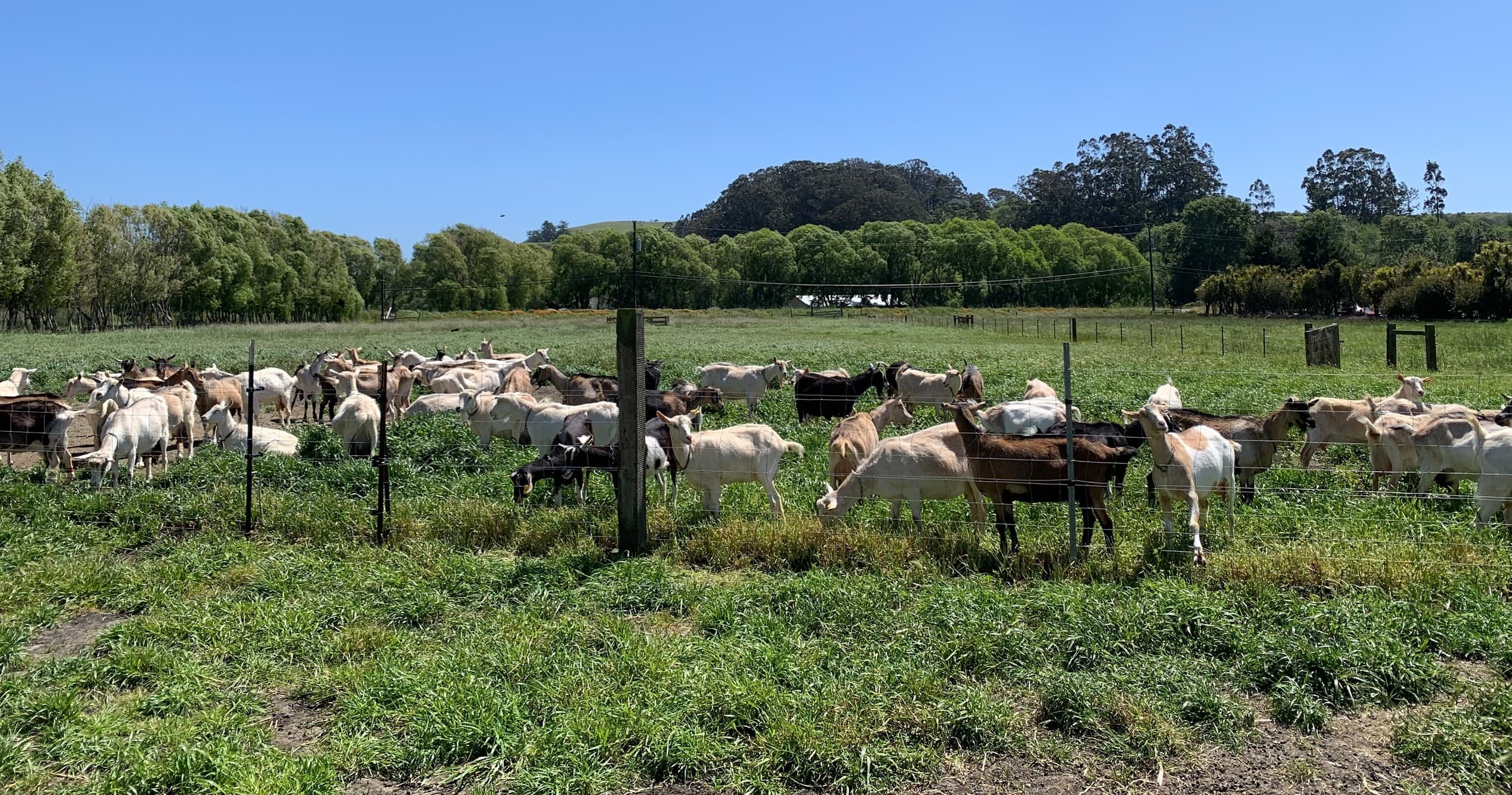 Land Adventures with Harley Farms in California