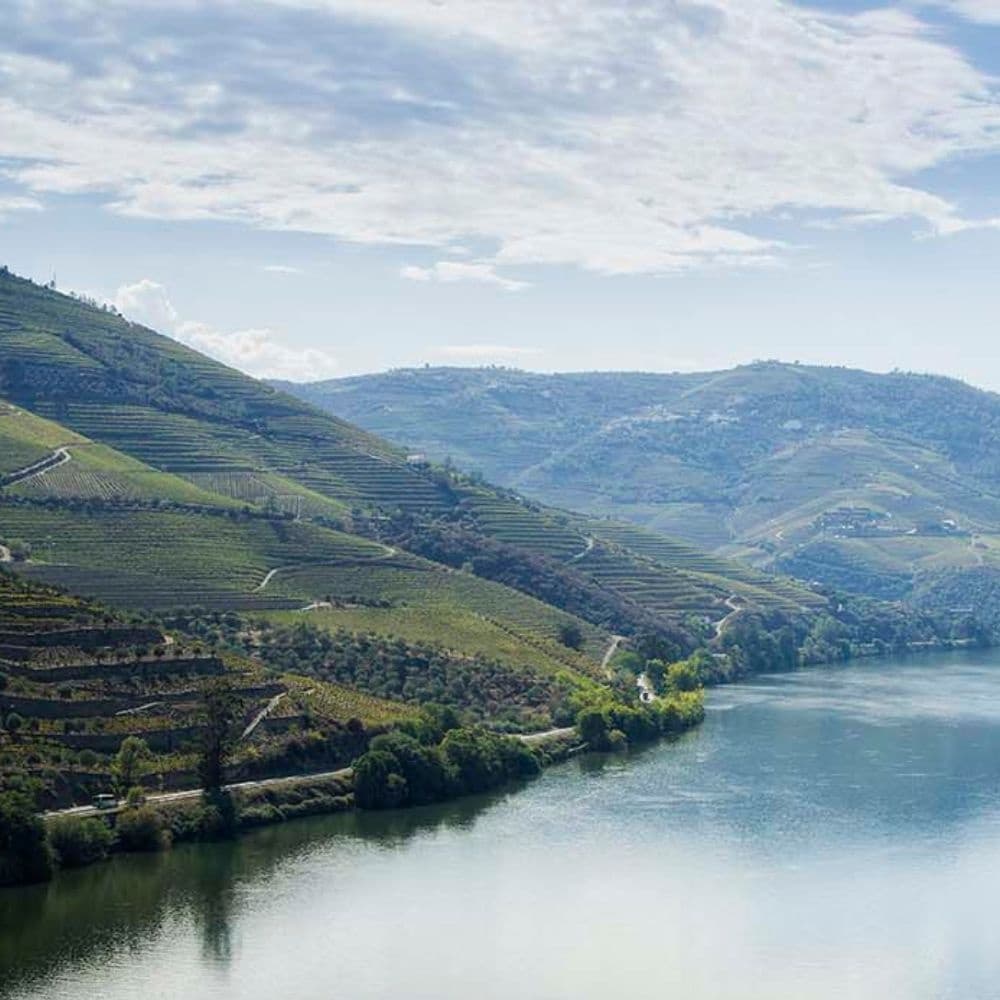 Wine Tasting & Vineyard Tours in Douro with Maçanita Vinhos