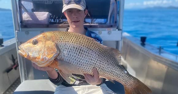 Private 3/4 Day Fishing Charter in Airlie Beach — 6-Hour Reef Adventure