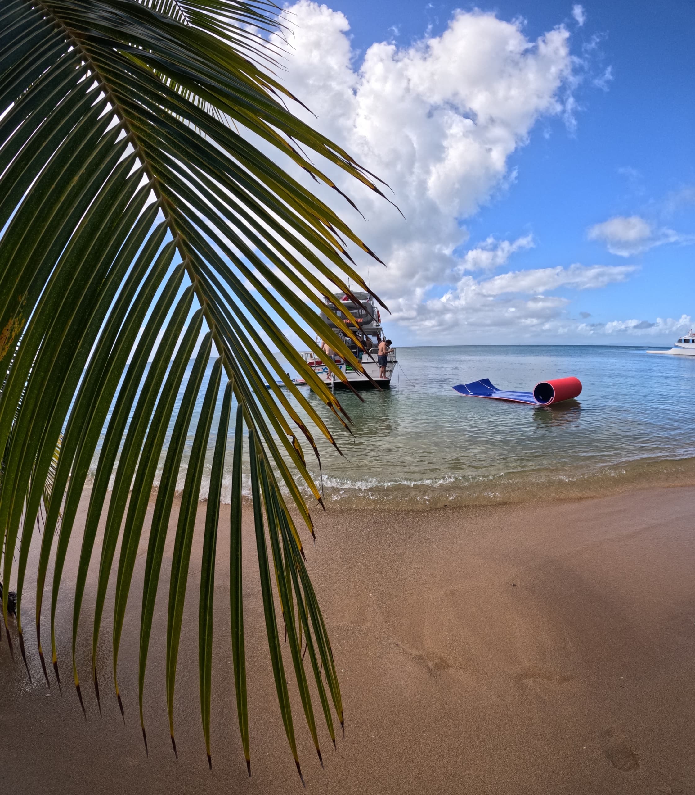 Vieques Powerboat Snorkeling & Beach Tour in Fajardo