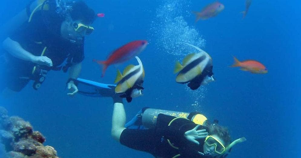 Snorkeling Adventure at Casa Del Mar in Culebra, Puerto Rico