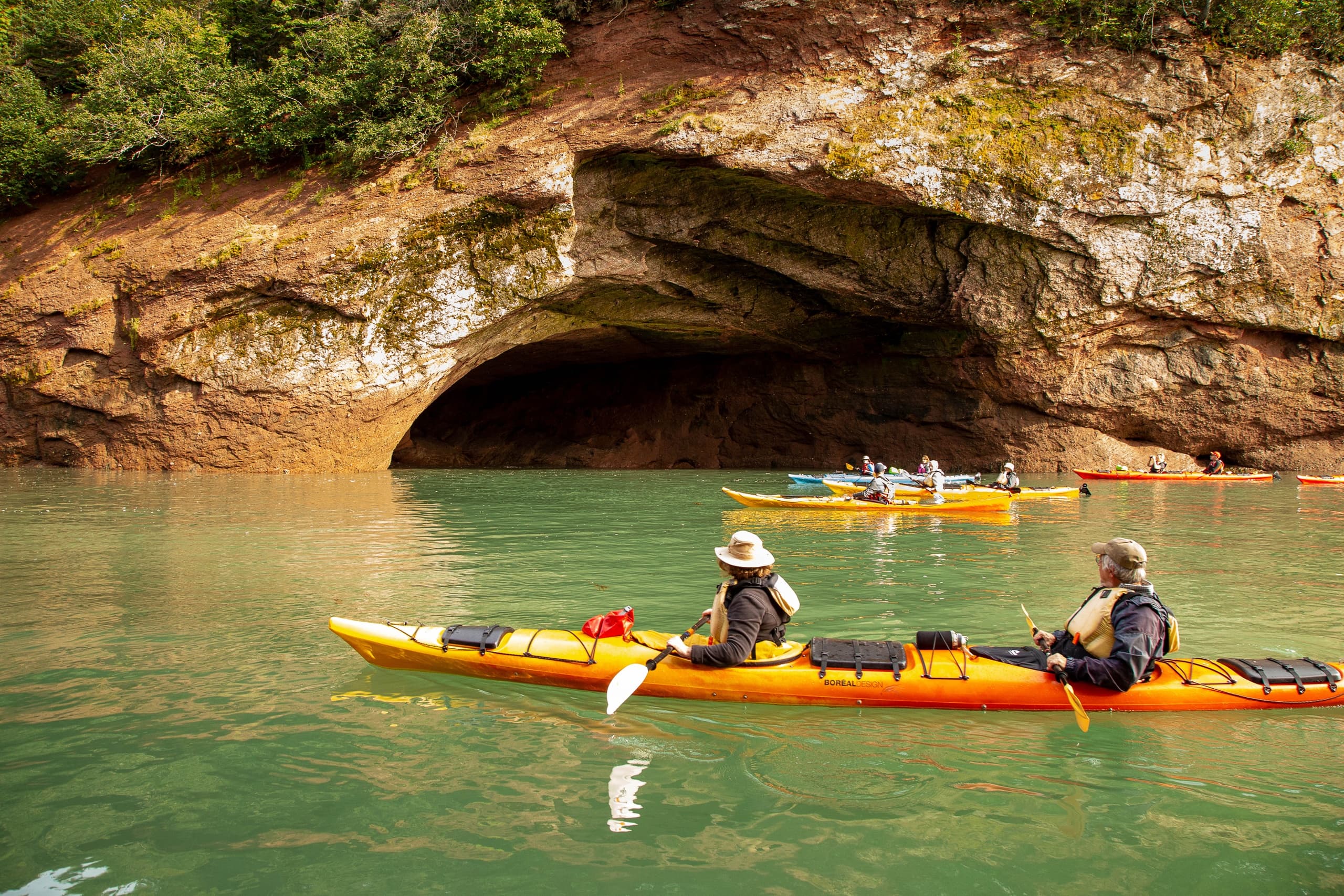 Bay of Fundy Adventures fleet