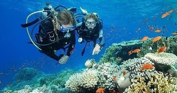 Open Water Certification Checkout Dives in Honolulu, Hawaii