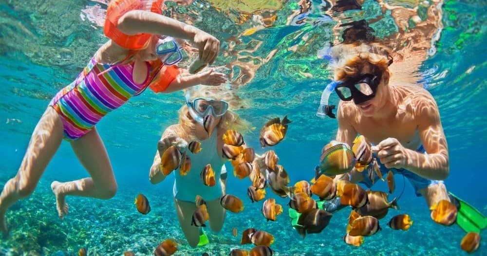 CJ Reef Snorkeling Getaway with Captain J's in SWFL