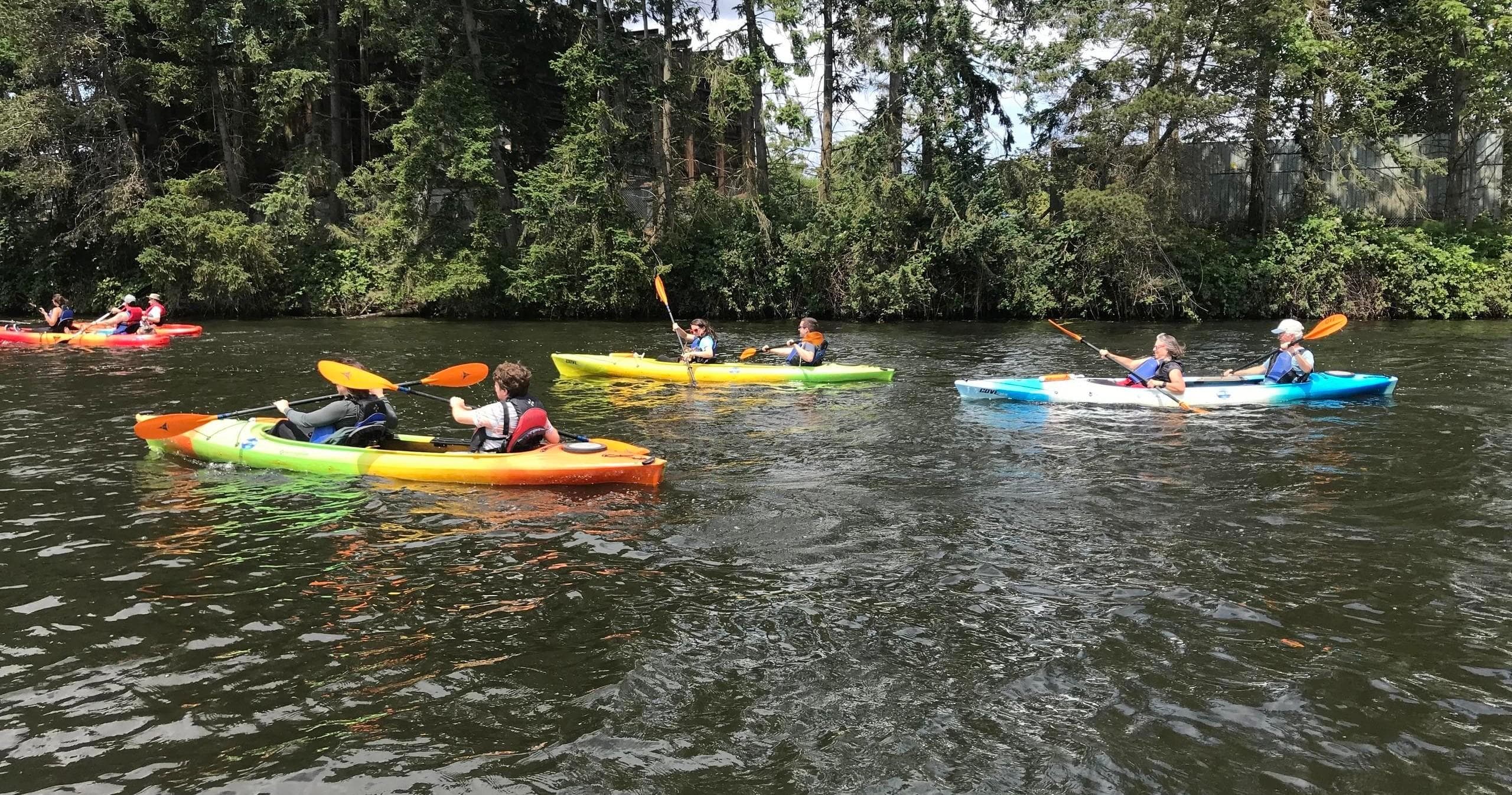 Guided group kayaking on scenic tree-lined river